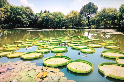 جولة خاصة شاملة كلياً في أبرز معالم مدينة شنغهايAll Inclusive Tour