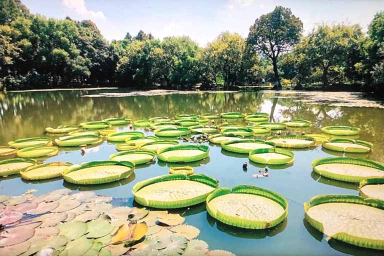 جولة خاصة شاملة كلياً في أبرز معالم مدينة شنغهايAll Inclusive Tour