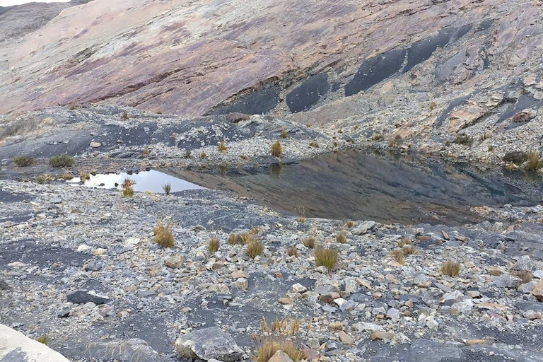 Huaraz: giornata intera Nevado Pastoruri + acque frizzanti