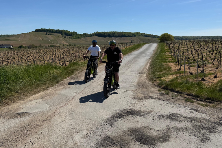 Champagne Vineyards: Tour through the heart of the vineyards on a fat tire e-bike Champagne Vineyards: Tour through the Heart of the Vines on a Fat E-Bike