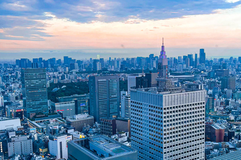 Tokio A: Tour de la ciudad en Español - Spanish Tokyo A: Private Tour