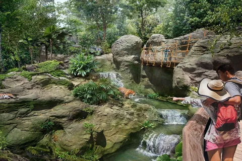 Singapore: Rainforest Wild Asia Entry Ticket