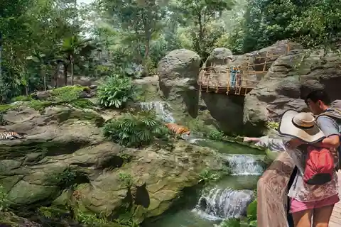 Singapura: Ingresso para a Rainforest Wild Asia