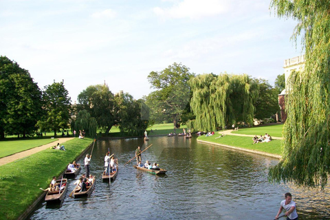 Mandarin: Private Tour of Cambridge with Student Guide