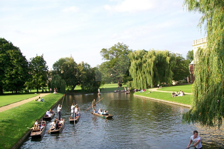 Mandarin: Private Tour of Cambridge with Student Guide
