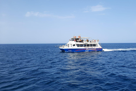 Depuis Denia/Jávea : Excursion en catamaran avec option coucher de soleilExcursion d&#039;une journée à partir de Denia