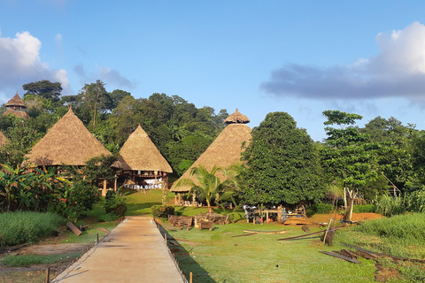 Private 6 Stunden Tour zu Emberas Gemeinschaft Panama Roots