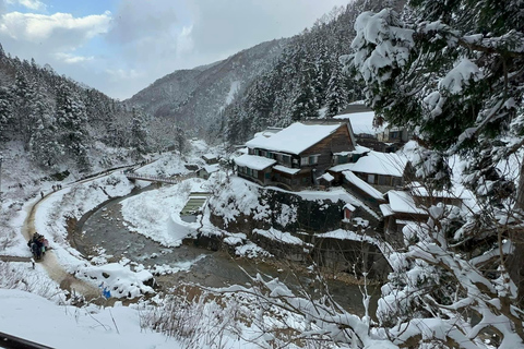 Tokyo: Private Nagano Tour with English speaking driver