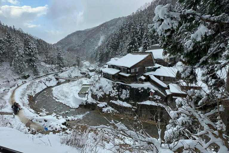 Tokyo: Private Nagano Tour with English speaking driver