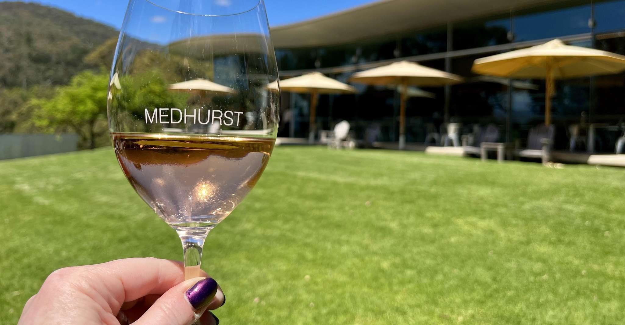 Melbourne: Yarra Valley Wine Bubbles & Kangaroos Tour photo 14