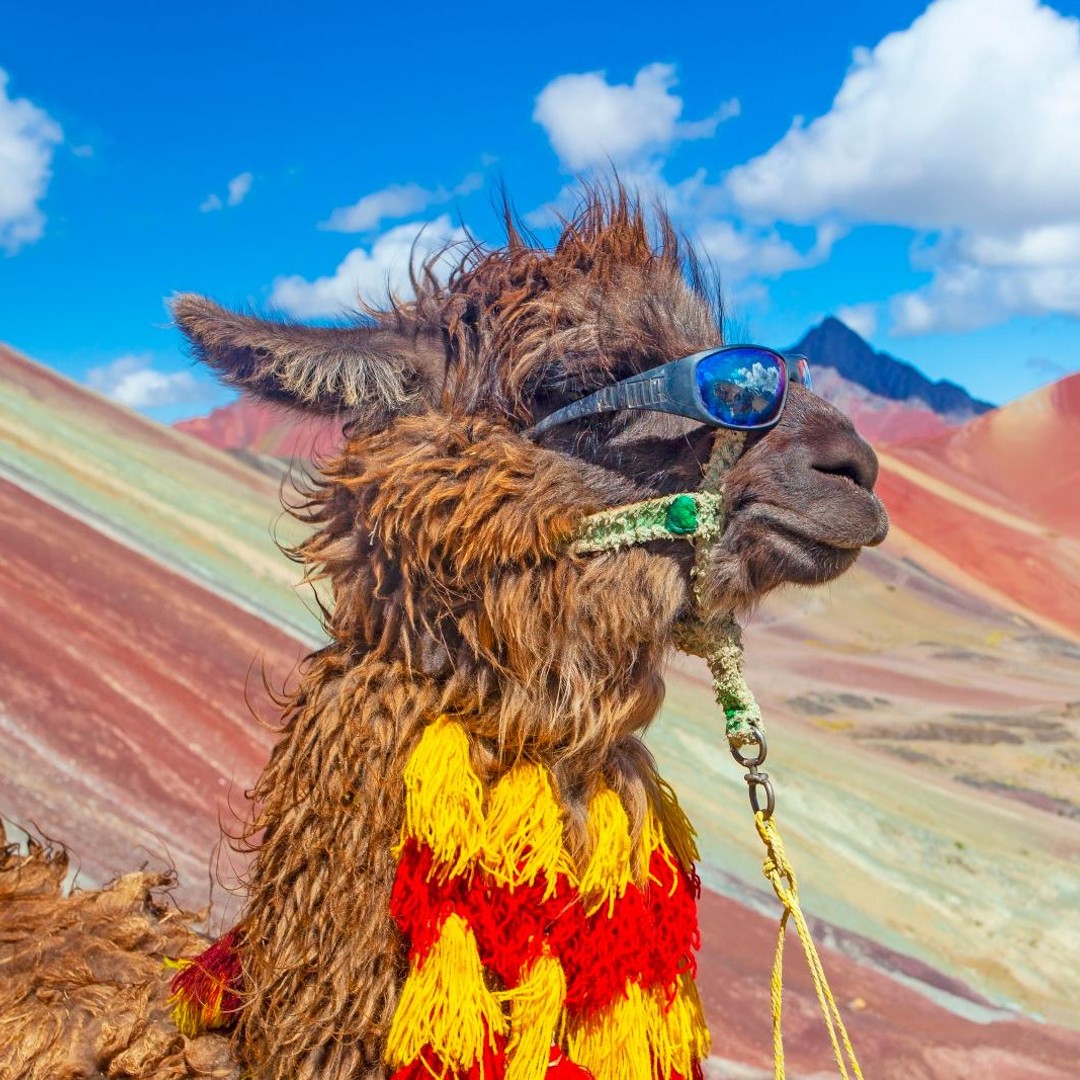 クスコ虹の山｜7色の山｜ビニクンカ | GetYourGuide