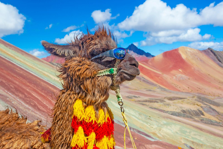 Tęczowe Góry - Montaña de 7 ColoresZ Cusco: Rainbow Mountains Guided Trek ze śniadaniem