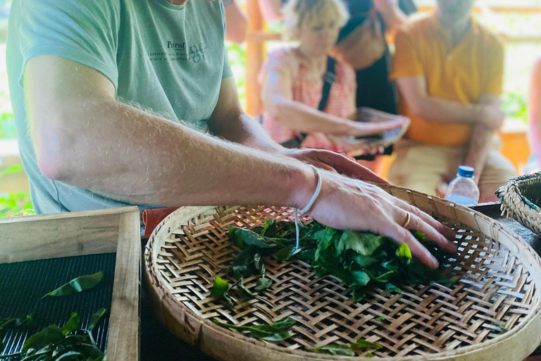 ELLA : Tea-Making Experience Tour with Tasting and Snacks