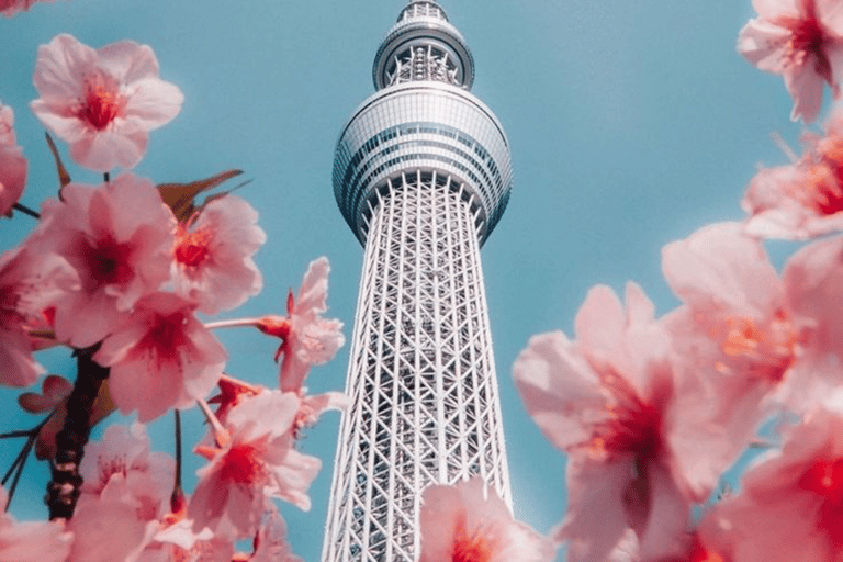 Tokyo Full Day Customizable Private Tour with English Guide