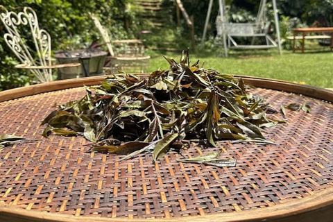 Nairobi: Purple Tea Farm Gatura Greens Day Trip