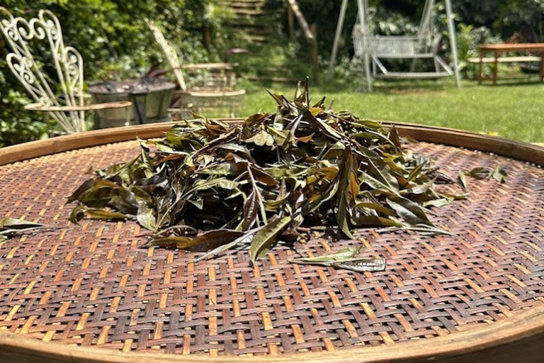 Nairobi: Purple Tea Farm Gatura Greens Day Trip