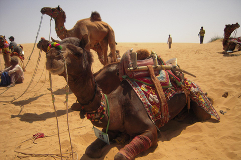 9 Days Rajasthan Tour: Jaipur, Jodhpur, Jaisalmer & Udaipur Private Tour with A/C transport and Dedicated Driver.