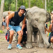 Chiang Mai: Doi Inthanon and Elephant Sanctuary Tour