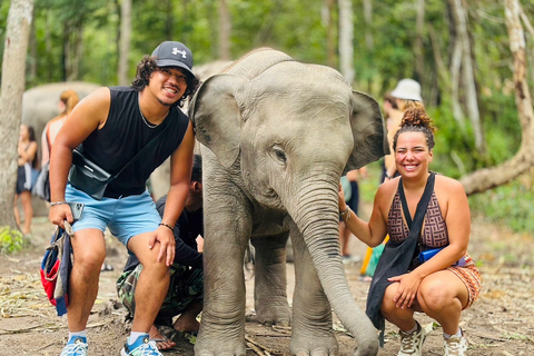 Chiang Mai: Doi Inthanon i wycieczka do sanktuarium słoniMiejsce zbiórki