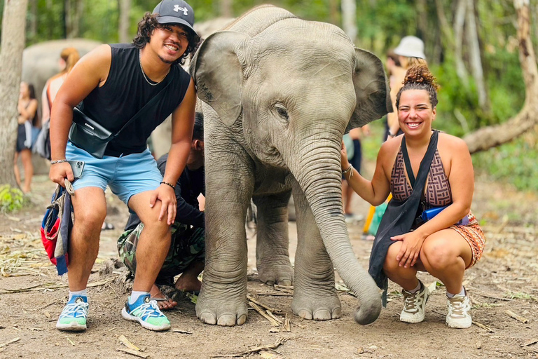 Chiang Mai: Doi Inthanon and Elephant Sanctuary TourMeeting Point