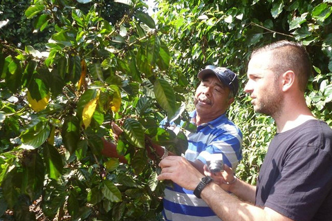 San Salvador : Journée entière sur la route de Las Flores et dans une ferme de café