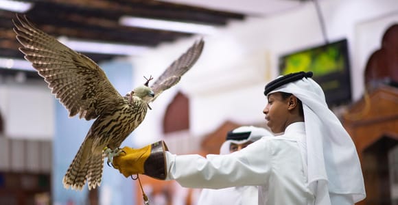 Doha: Souq Waqif Guided Tour | Falconry & Pearling in Qatar