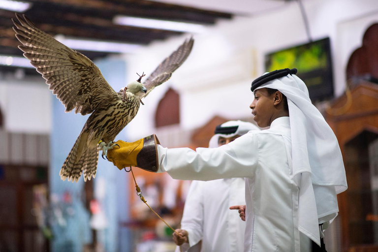 Doha: Full Day Doha City and Desert Safari Tour