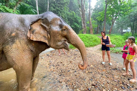 Krabi: Experiencia ética de cuidado de elefantes con traslado al hotelKrabi: Experiencia ética de cuidado de elefantes con servicio de recogida del hotel