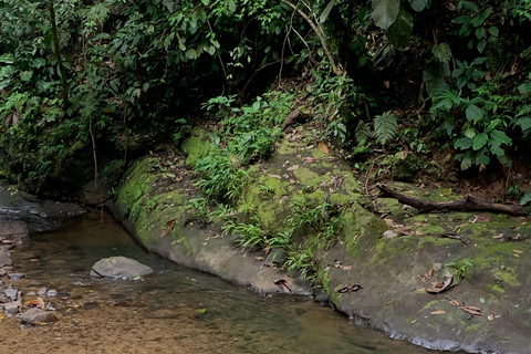 Puerto Viejo Talamanca: Quad Tour with 2 Waterfalls
