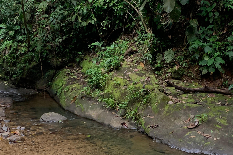 Puerto Viejo Talamanca: Quad Tour with 2 Waterfalls