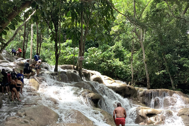 Montego Bay: Combo das cataratas do rio Dunn e tubagem no rio White