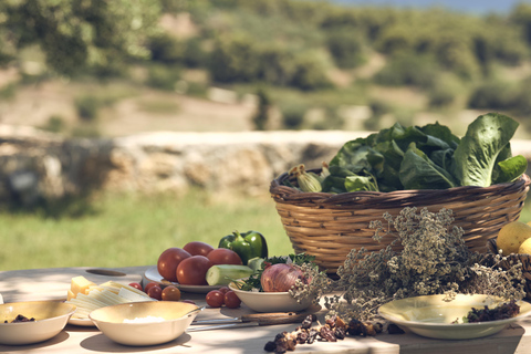 Zakynthos: Organic Farm Tour with Olive Oil Tasting