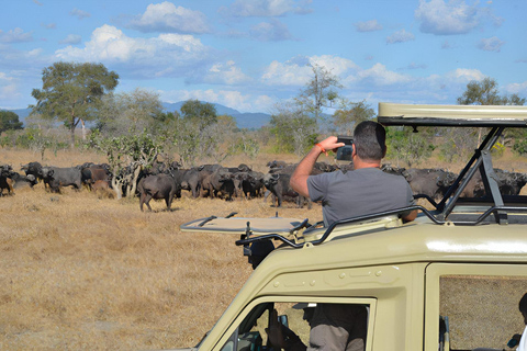 8days Serengeti np,ngorongoro conservation area,tarangaire Serengeti np,ngorongoro conservation area and tarangaire np