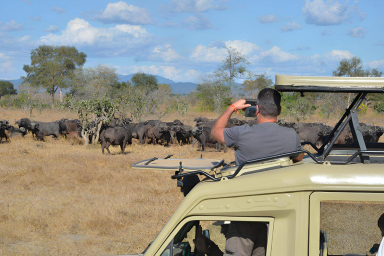 8days Serengeti np,ngorongoro conservation area,tarangaire Serengeti np,ngorongoro conservation area and tarangaire np