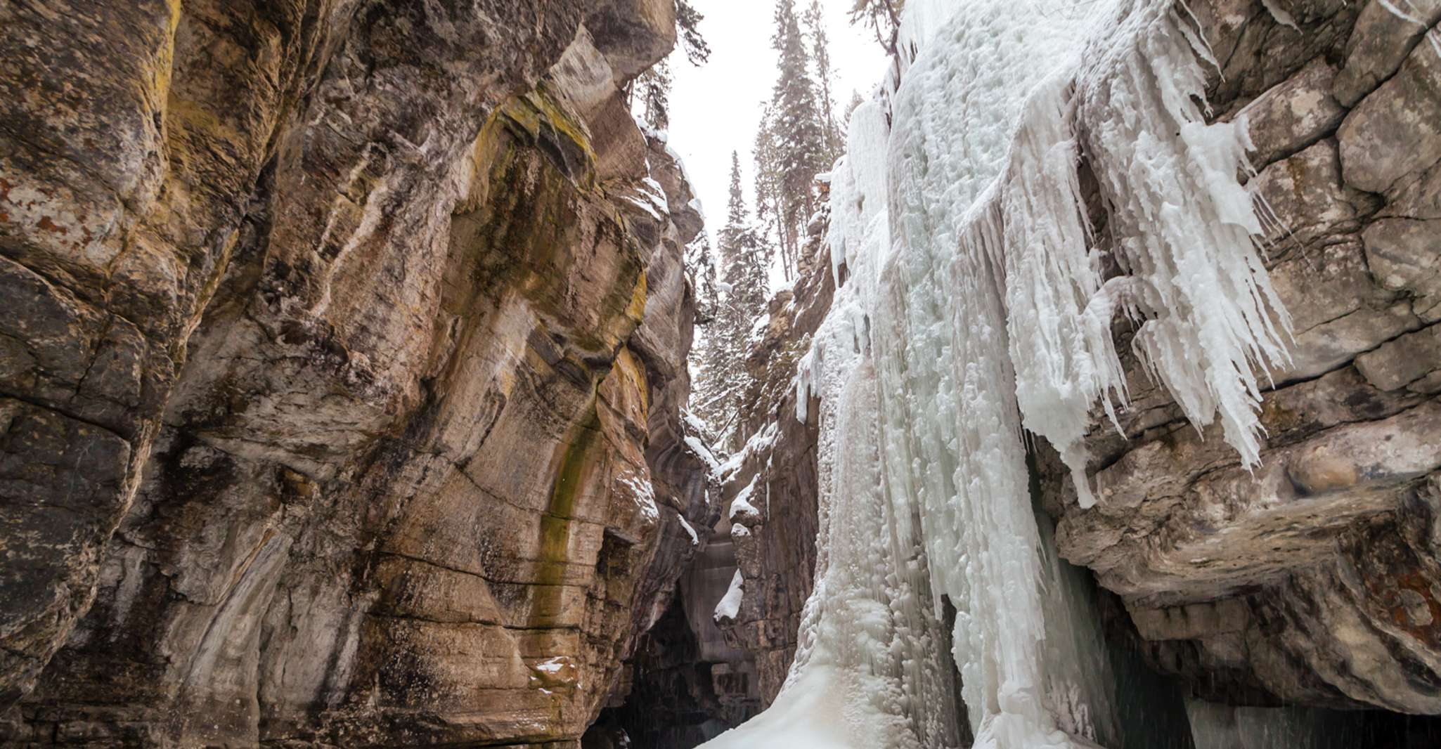 Desde Jasper, Visita guiada a pie de hielo del Cañón de Maligne - Hizvo