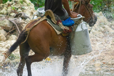 Puerto Plata: ATV Quads and Militares River stop