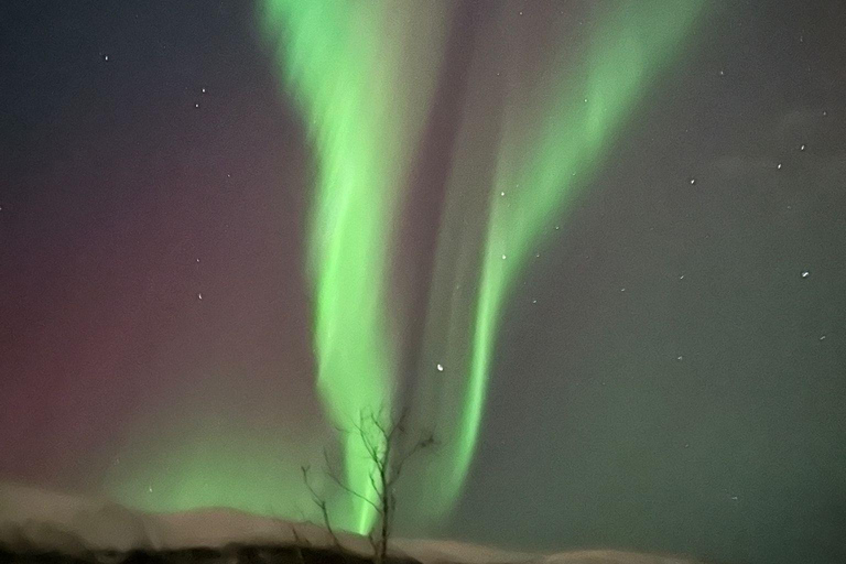 Tromsø: Descobre a aurora boreal com conforto e estilo