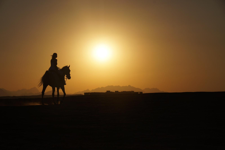 Sea & Desert Horse Riding Tour & Optional Private Photoshoot 2-Hour Horse Ride — Without Transfer (Entry Ticket Only)