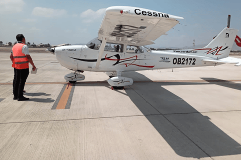 Nazca: Nazca Lines Flight with Hotel Pickup