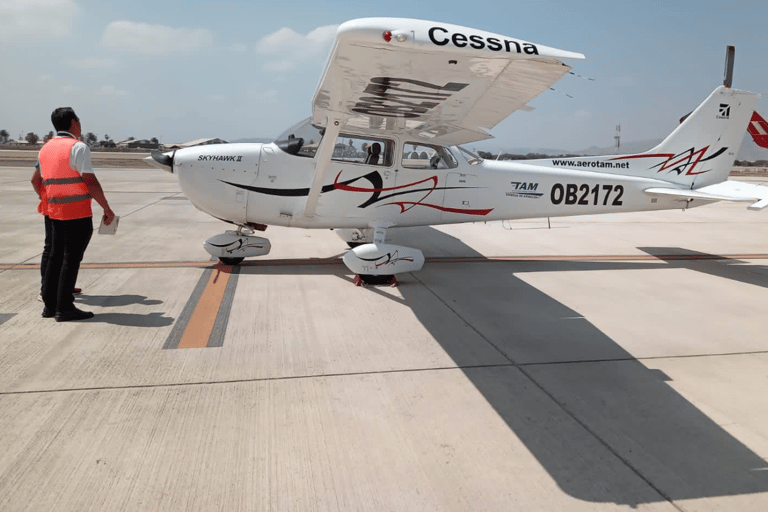 Nazca: Nazca Lines Flight with Hotel Pickup