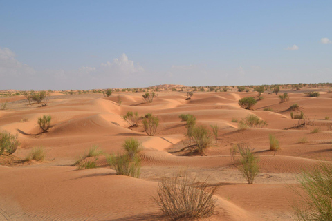 Au départ de Djerba : Safari Saharien – Villages Berbères et Dunes Dorées