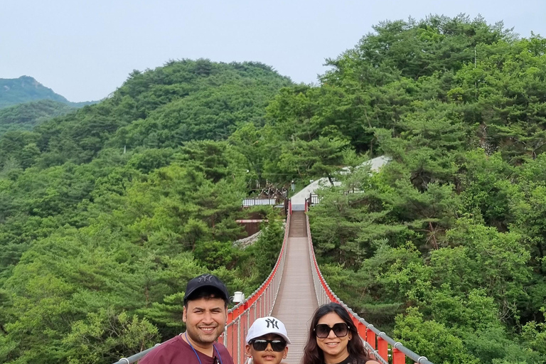 Private DMZ Highlights & Suspension Bridge Tour from Seoul B - Private DMZ + Suspension bridge