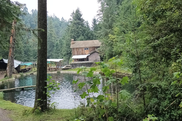 Cidade do México: Caminhada matinal no Mirador Coconetla