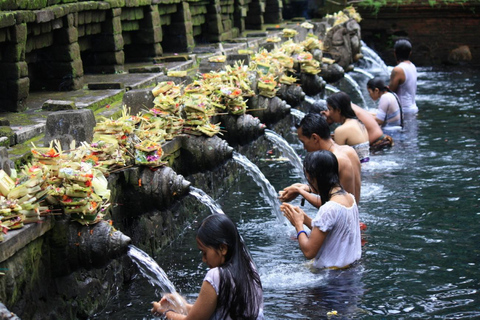 Ubud: Małpi Las, Taras Ryżowy, Huśtawka, Świątynia Wody