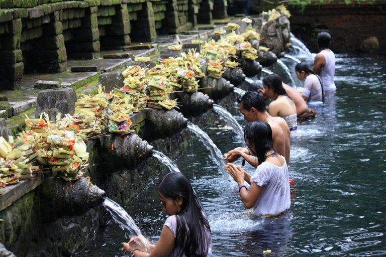 Ubud: Apenbos, Rijstterras, Schommel, Watertempel