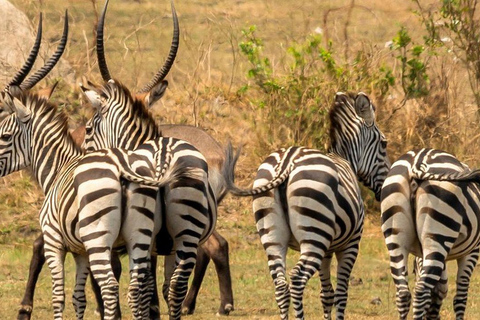 Lake Mburo 2-Day Cycling Safari, Picnic and Bush Breakfast