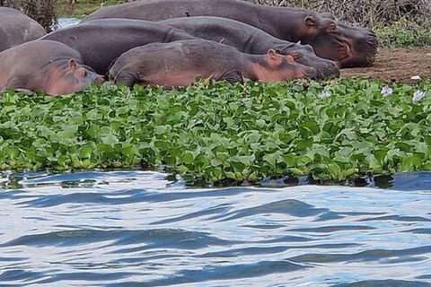 Nairobi: Hell's Gate National Park and Lake Naivasha Tour