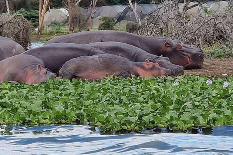 Nairobi: Hell's Gate National Park and Lake Naivasha Tour