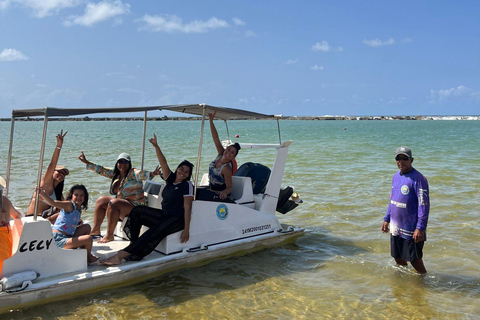 From Maceió: Francês, Barra, and Gunga Beach Day Trip