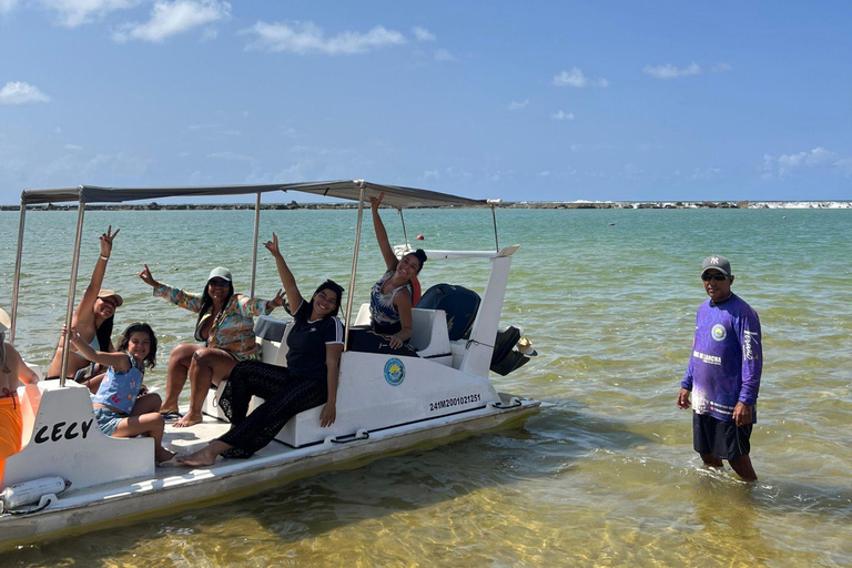 From Maceió: Francês, Barra, and Gunga Beach Day Trip
